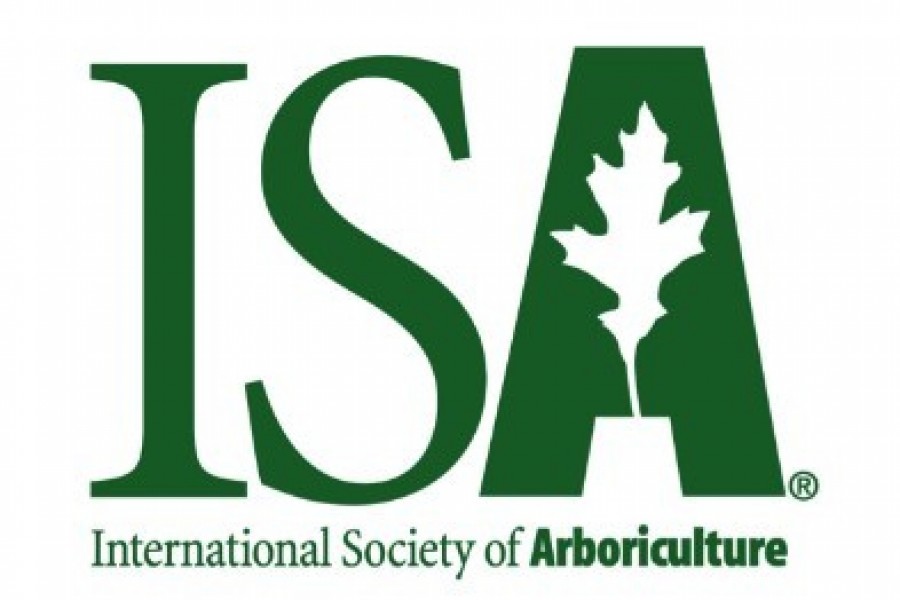 ISA
