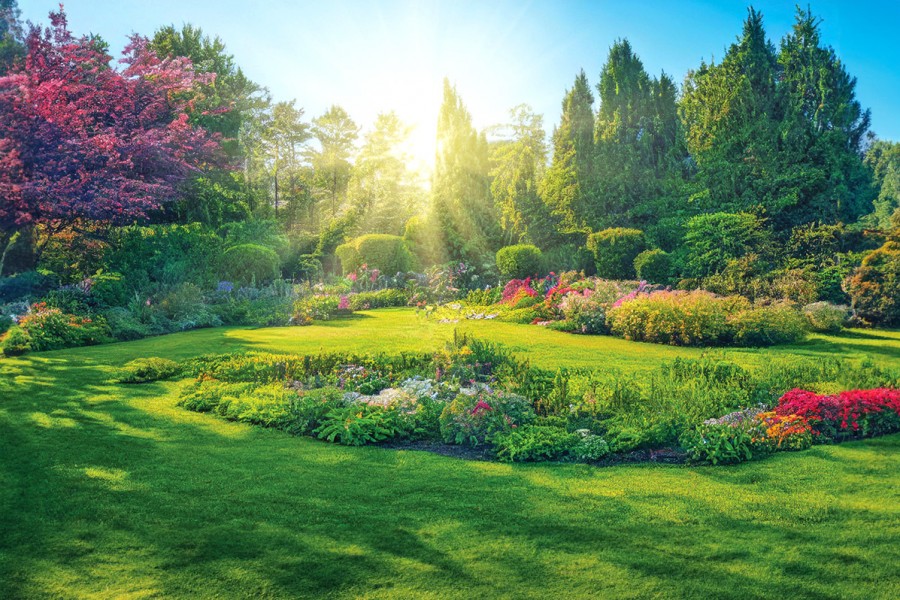 Spring Tree Care Checklist